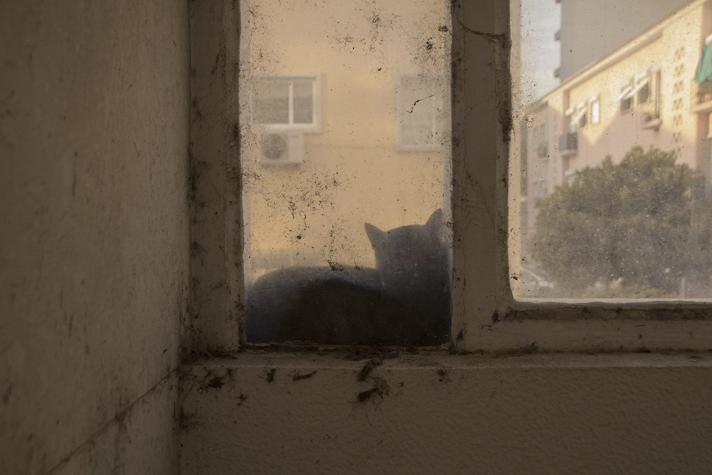 Diário de Férias: Complexo dos Coruchéus – Lisboa, 2016