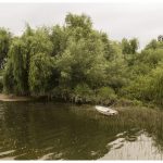 image_4031430821203772 