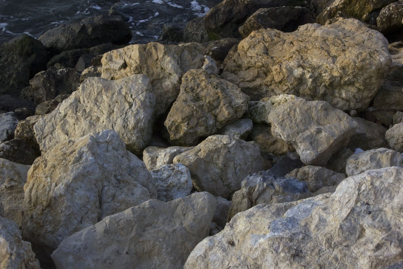 image_4541464276669579